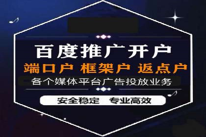 某某SEM团队成功案例：广告投放策略揭秘